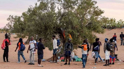 كانوا يستعدون "للحرقة"... إلقاء القبض على 12 شخصا من دول إفريقيا جنوب الصحراء بغابة ببنزرت