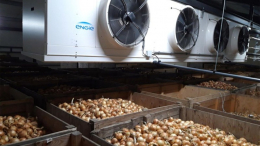 وزارة التجارة تنطلق في برنامج وطني خصوصي لمراقبة مخازن التبريد