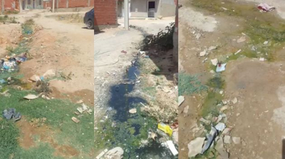 حيّ بالقلعة الكبرى: لا ماء لا ضوء .. مياه الصرف الصحي أفاعي وحشرة قرمزية !