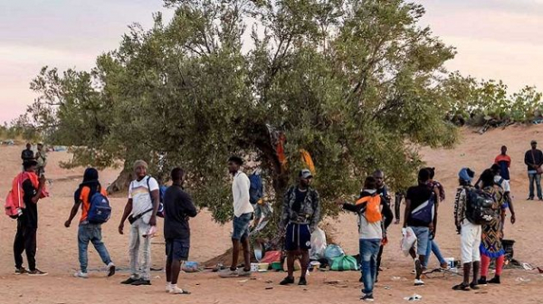 كانوا يستعدون "للحرقة"... إلقاء القبض على 12 شخصا من دول إفريقيا جنوب الصحراء بغابة ببنزرت