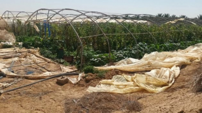 قبلي: تضرّر مشاريع البيوت المحمية جراء الرياح القوية