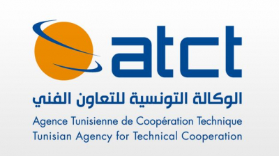 تراجع طفيف لعدد التونسيين المنتدبين بالخارج