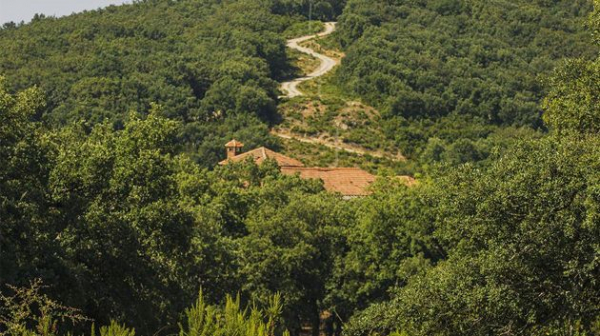 المهدية: العثور على جثـ.ـة آدمية بغابة الصبايا