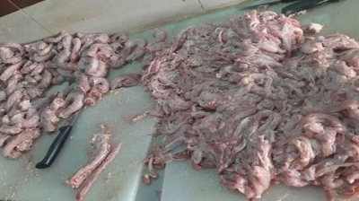 حجز كميات كبيرة من أنواع السجق وبقايا الدجاج غير صالحة للاستهلاك