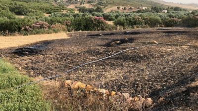 باجة: احتراق 110 هكتارات من الحبوب والاعلاف منذ غرة ماي الماضي