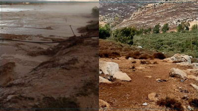 فريانة: نفوق عدد من رؤوس الأغنام جراء فيضان وادي العصافير