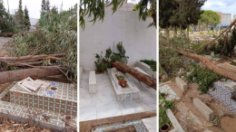 نابل: نشطاء يستنكرون عدم تدخل البلدية لازالة الاشجار المتساقطة على المقابر