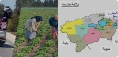 *إسناد 9 تراخيص جديدة لنقل العملة والعاملات الفلاحيين  .