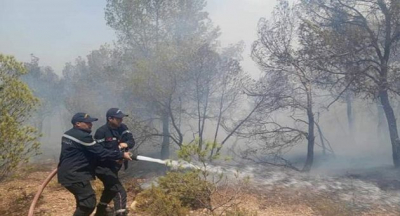 بنزرت.. السيطرة على حريق بغابة جبل سيدي علي المكي بغار الملح