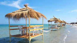 بنزرت: توجيه 8 تنابيه لمجموعة من المنتصبين بشاطئ 'كوكو'