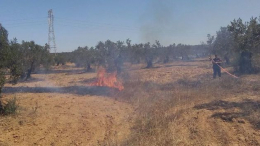 نابل: حريق بأرض فلاحية يأتي على 30 شجرة قوارص