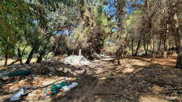 بنزرت: تركيز نظام إستشعار وإنذار لحماية الغابات من الحرائق بغابة رأس الجبل