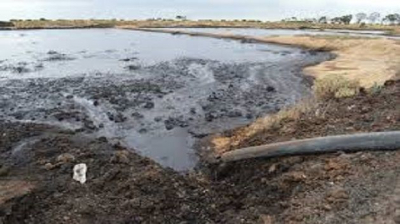 منوبة: قرار بغلق معصرة