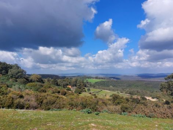 الحرارة القصوى تتراوح بين 24 و 35 درجة اليوم