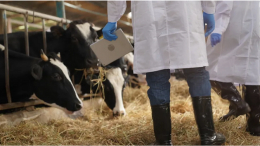 تعزيز النظام الوطني للإنذار المبكر عن الأمراض الحيوانية