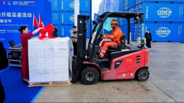 وصول شحنة بـ50 طنا من زيت الزيتون التونسي لأول مرّة إلى ميناء مقاطعة هوباي الصينية