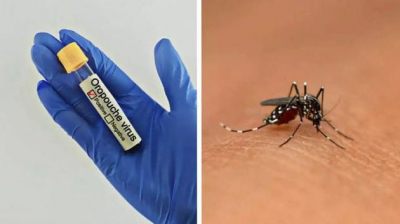 تحذير أمريكي من تفشي فيروس 'أوروبوش'